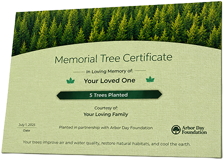 Plant Trees in Memory of Teajuwan Osby